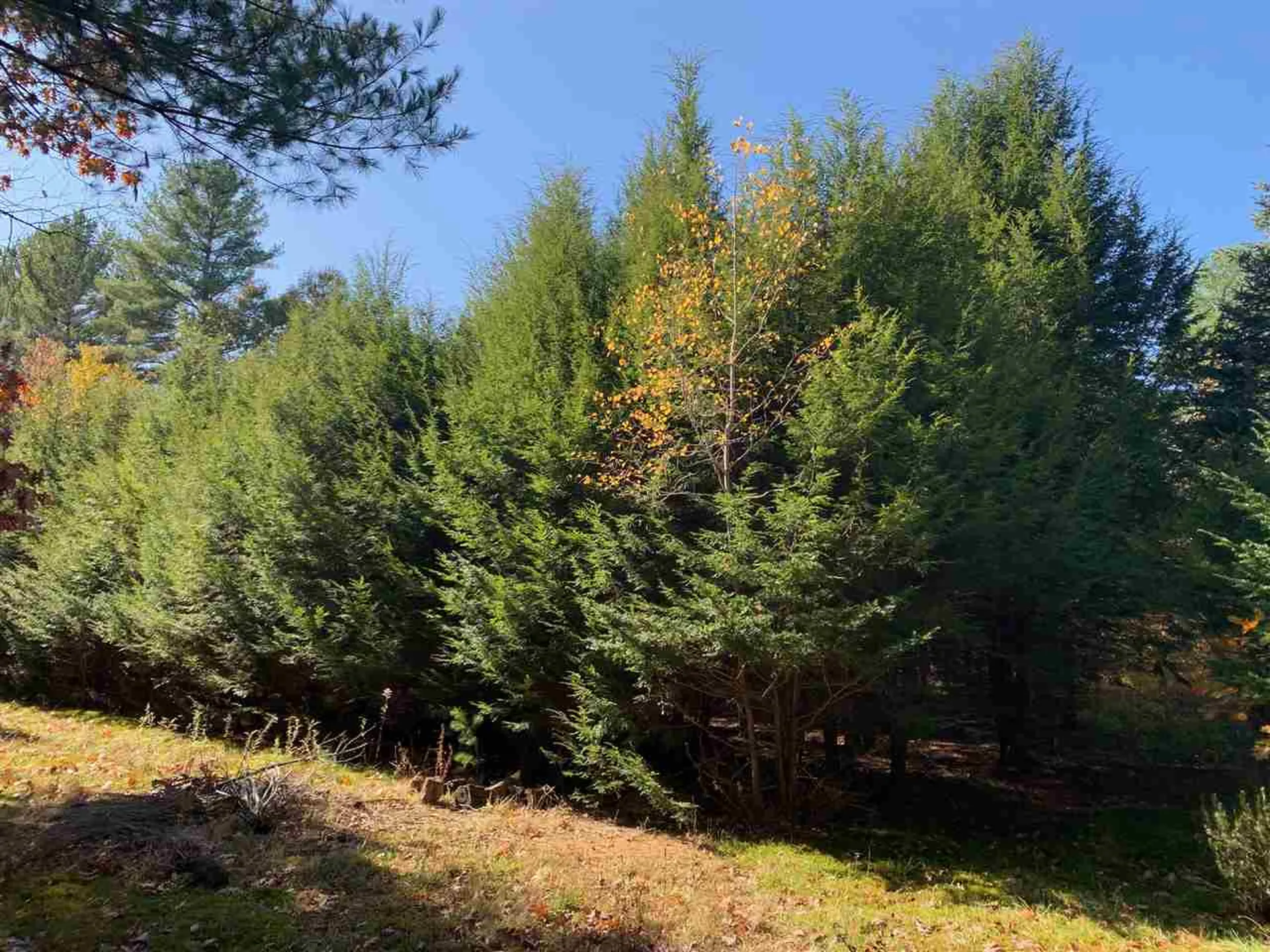 141 Joppa Road Merrimack NH 03054