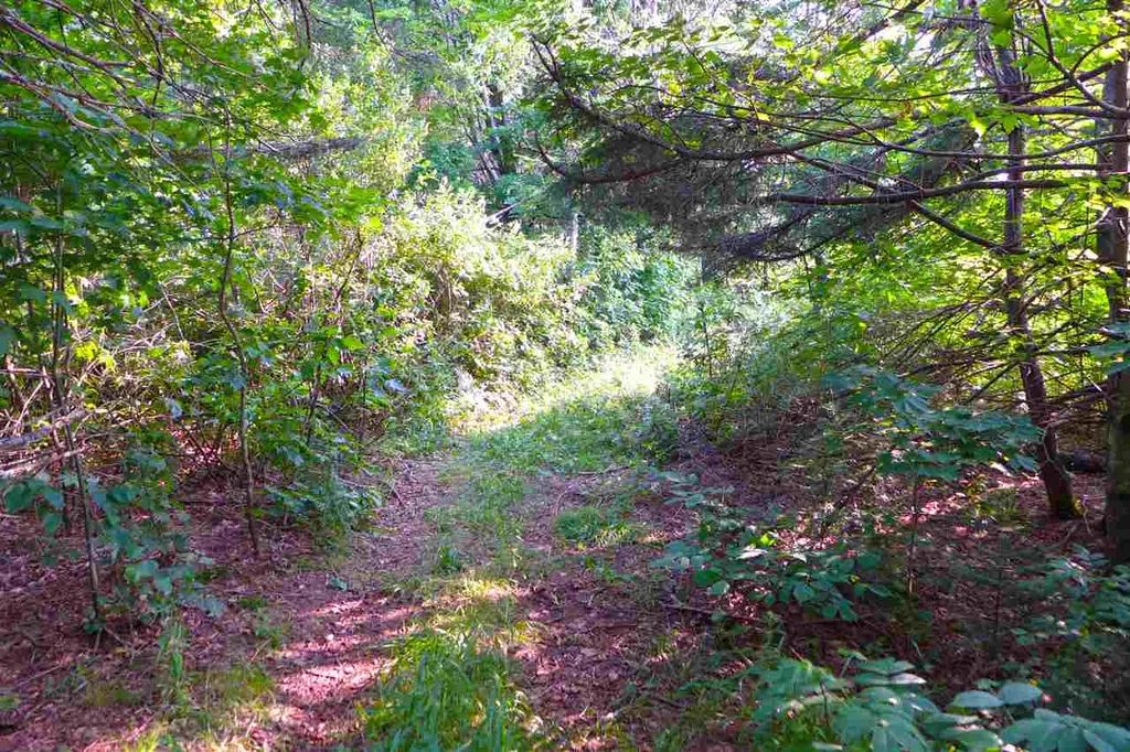 2502 Notch Road Orange VT 05086