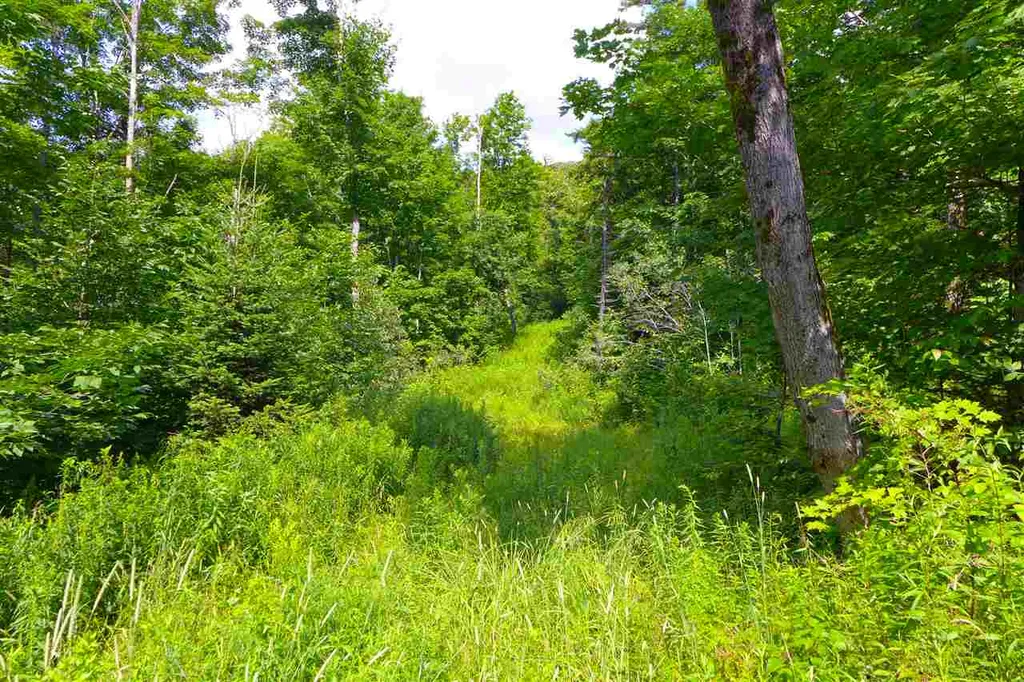 2502 Notch Road Orange VT 05086