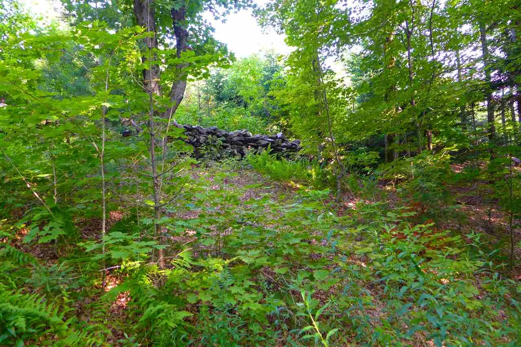 2502 Notch Road Orange VT 05086
