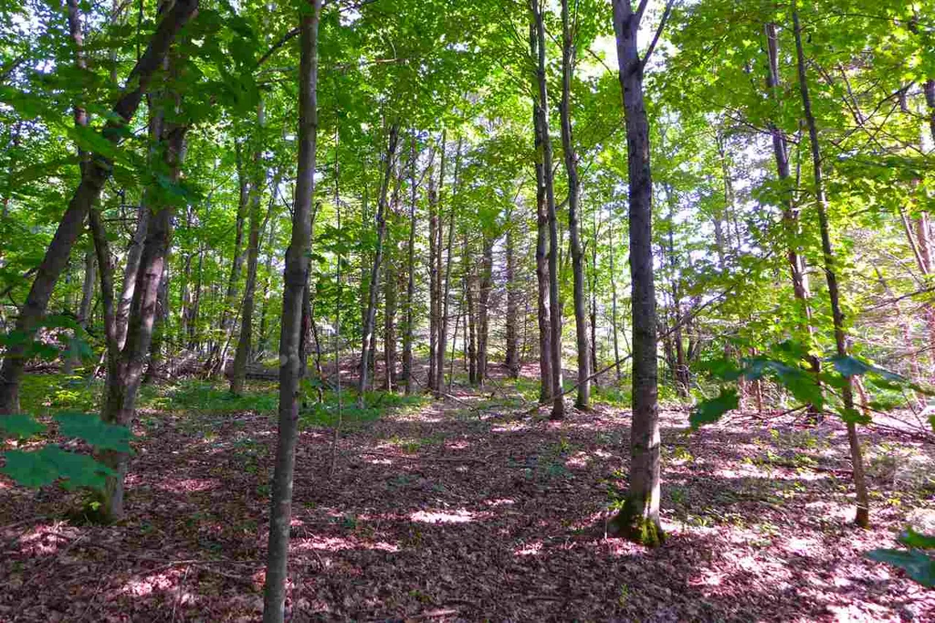2502 Notch Road Orange VT 05086