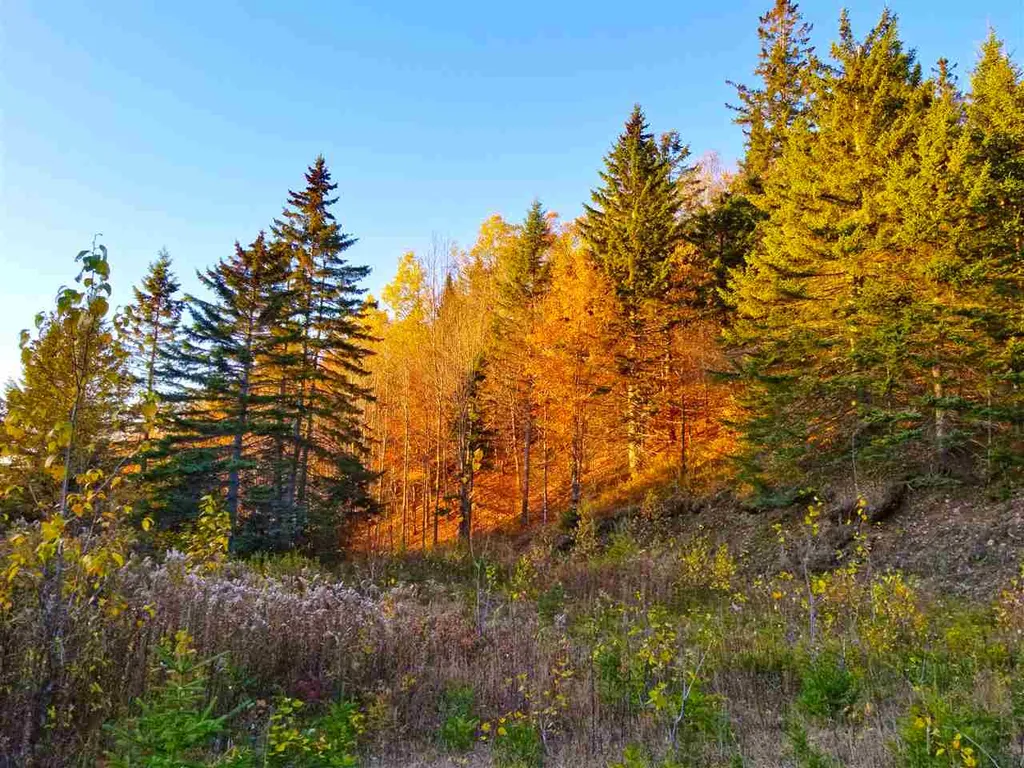 2502 Notch Road Orange VT 05086