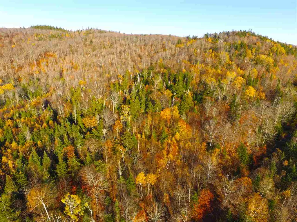 2502 Notch Road Orange VT 05086