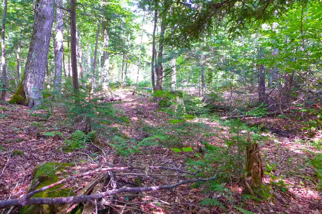 2502 Notch Road Orange VT 05086