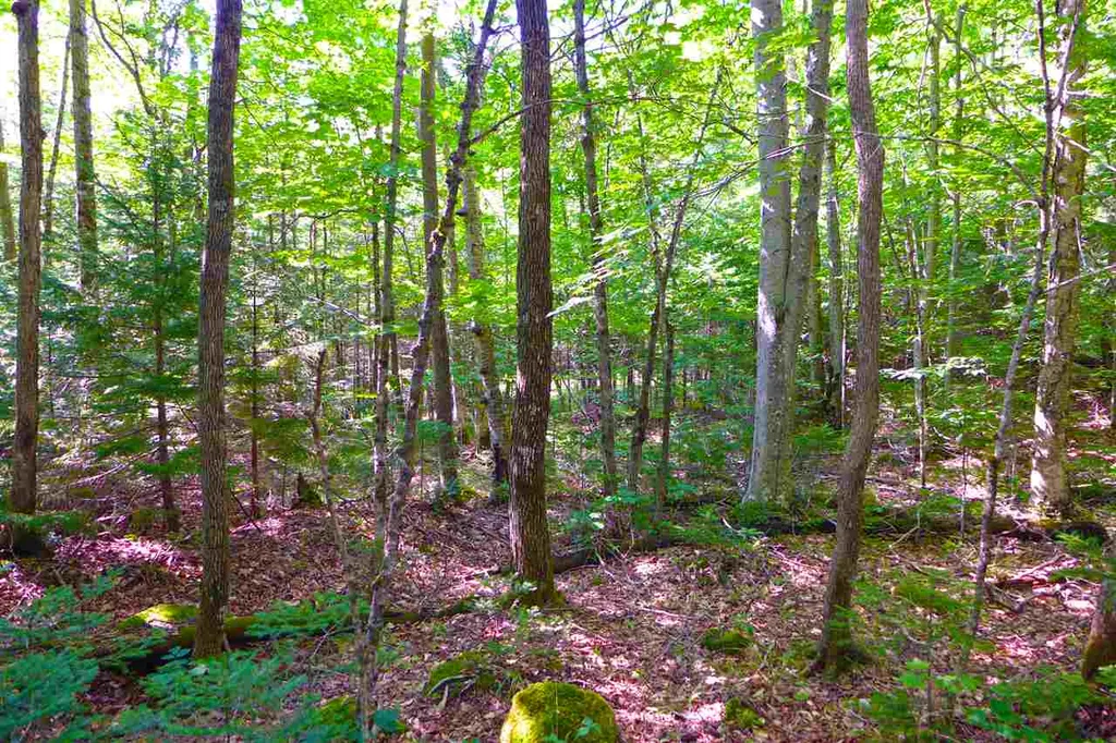 2502 Notch Road Orange VT 05086
