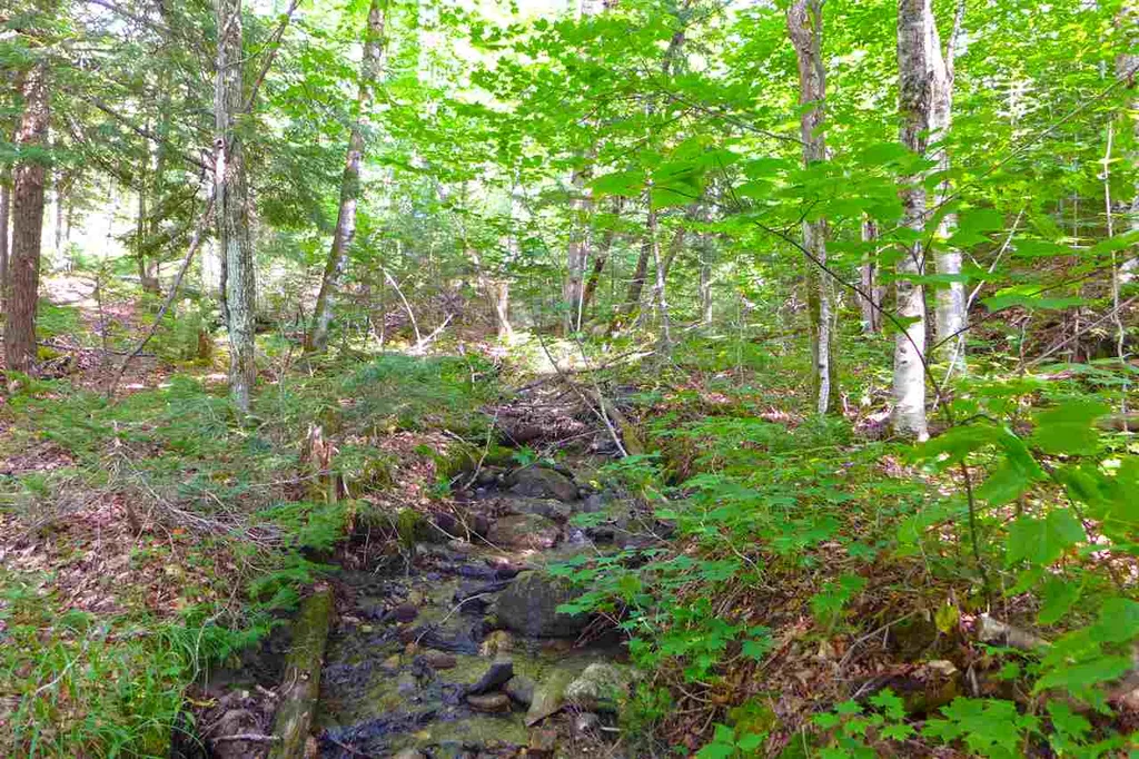 2502 Notch Road Orange VT 05086