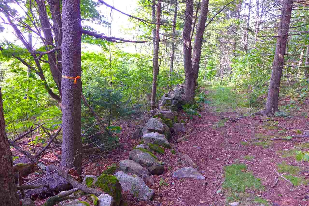 2502 Notch Road Orange VT 05086
