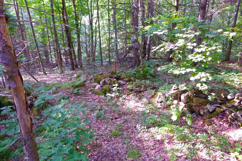 2502 Notch Road Orange VT 05086