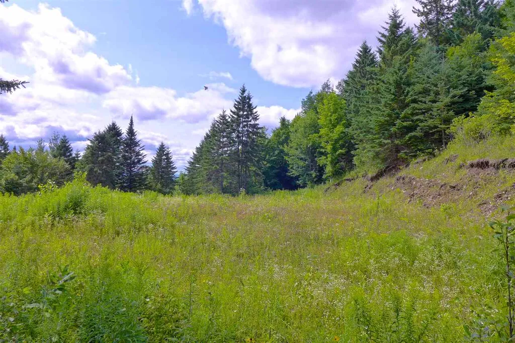 2502 Notch Road Orange VT 05086