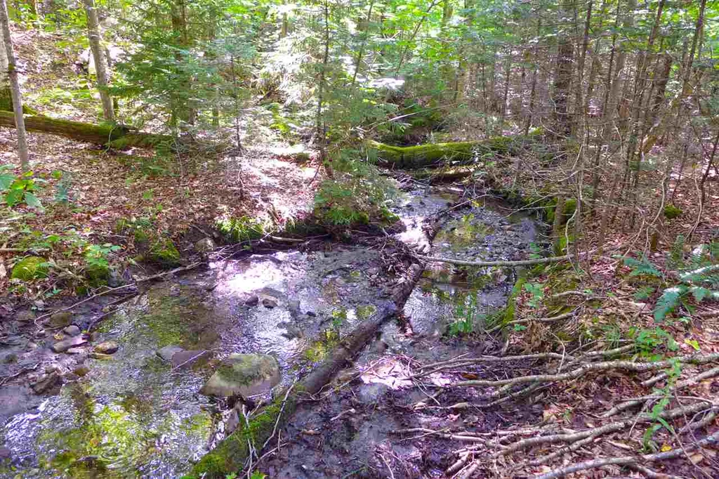 2502 Notch Road Orange VT 05086