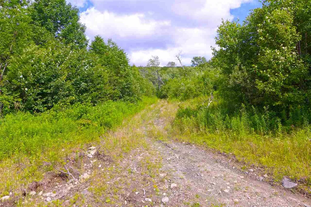 2502 Notch Road Orange VT 05086