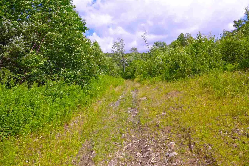 2502 Notch Road Orange VT 05086