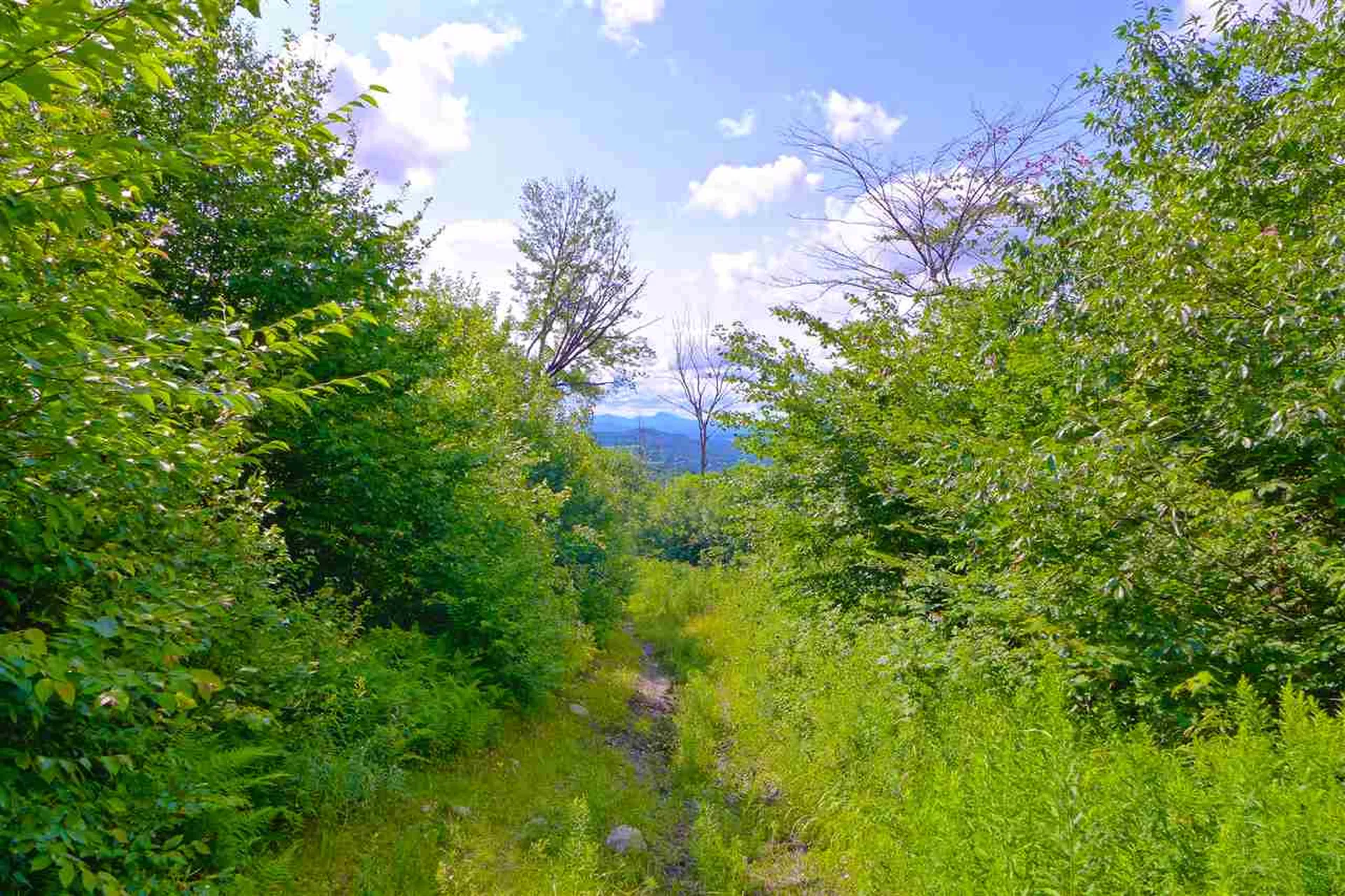 2502 Notch Road Orange VT 05086