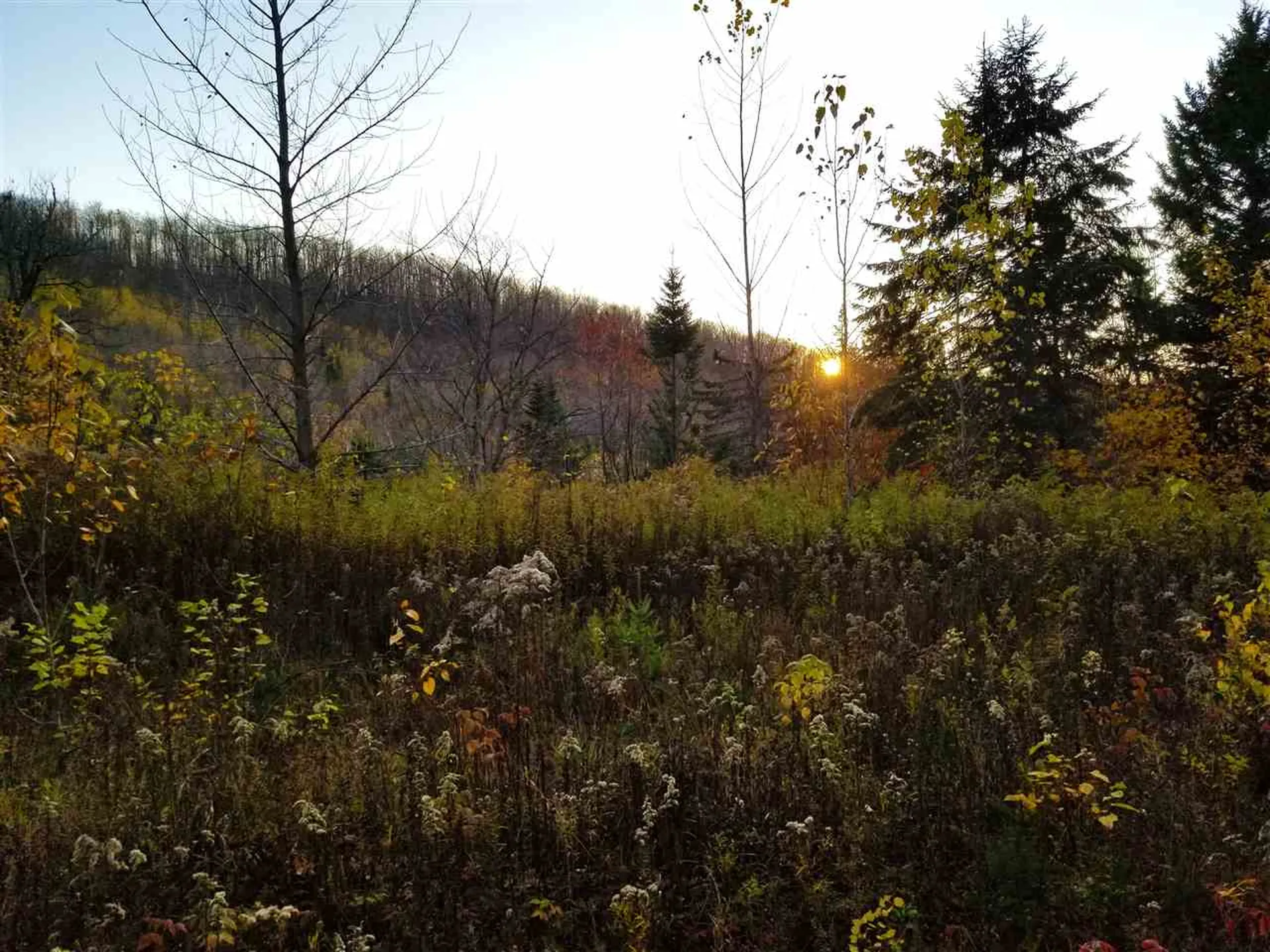 2502 Notch Road Orange VT 05086
