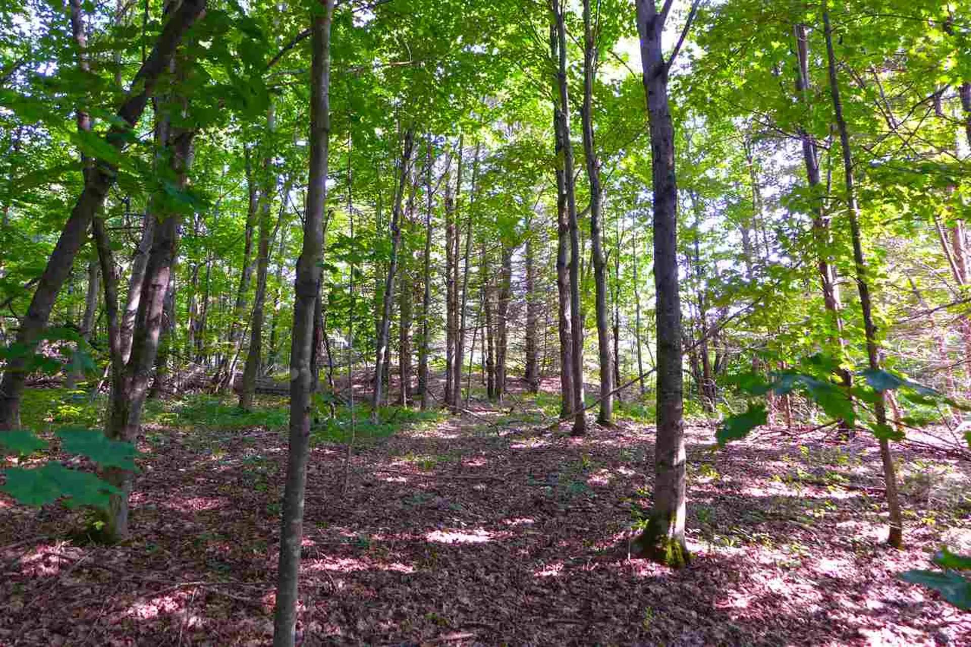 2502 Notch Road Orange VT 05086