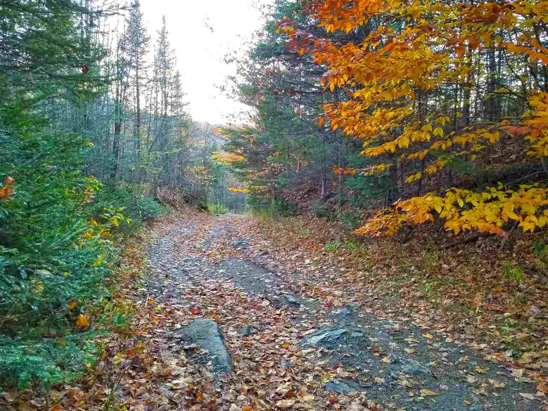 2502 Notch Road Orange VT 05086