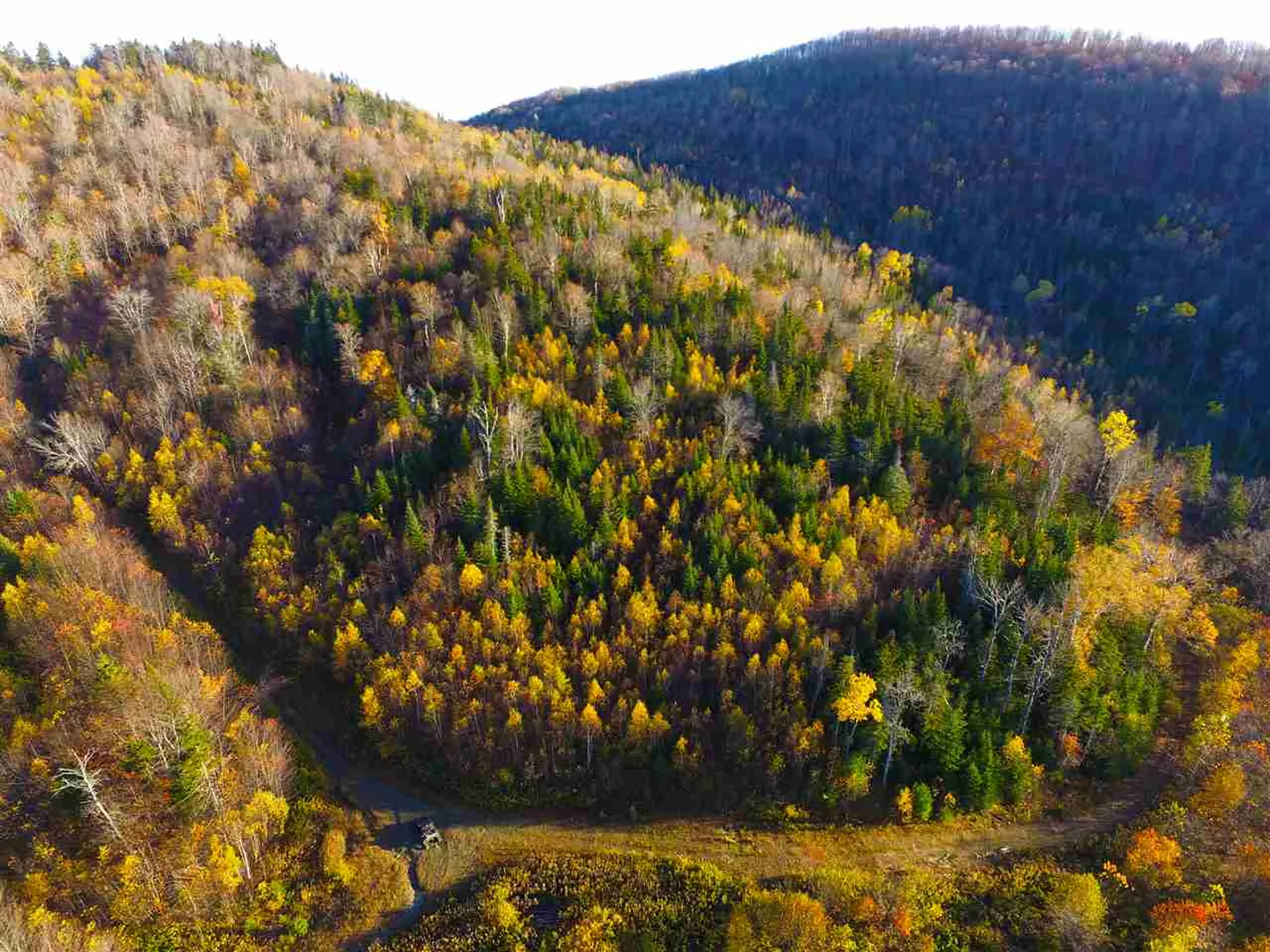 2502 Notch Road Orange VT 05086