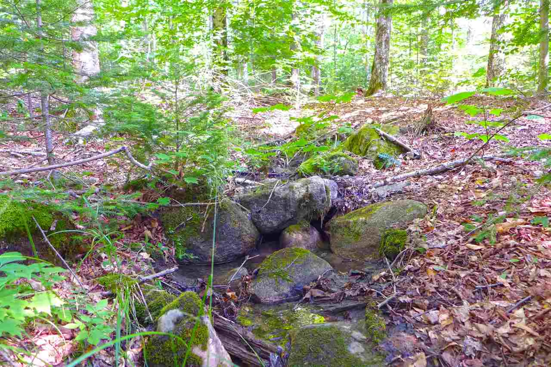 2502 Notch Road Orange VT 05086