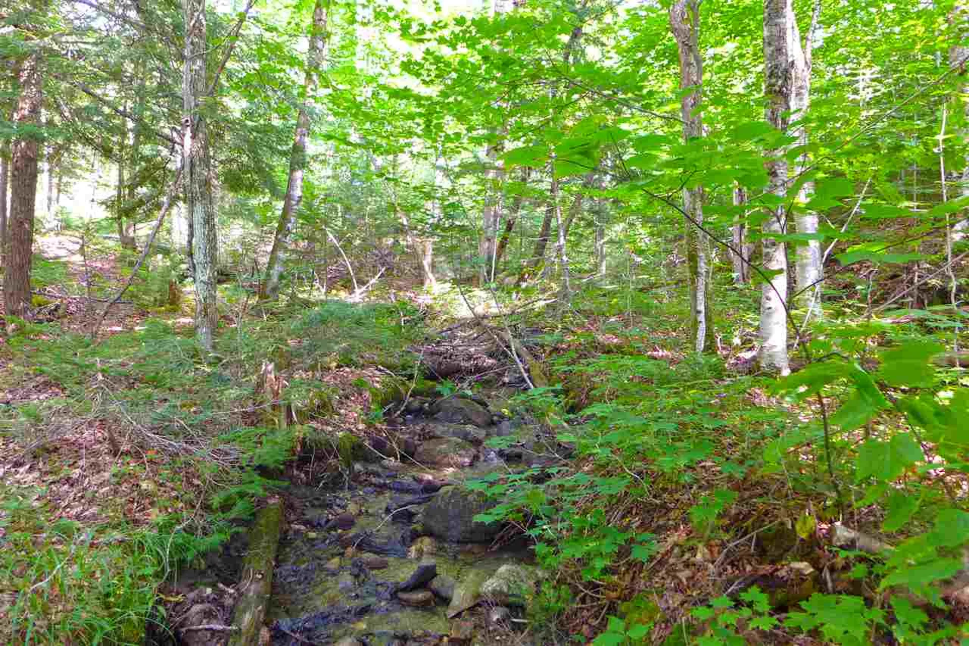2502 Notch Road Orange VT 05086