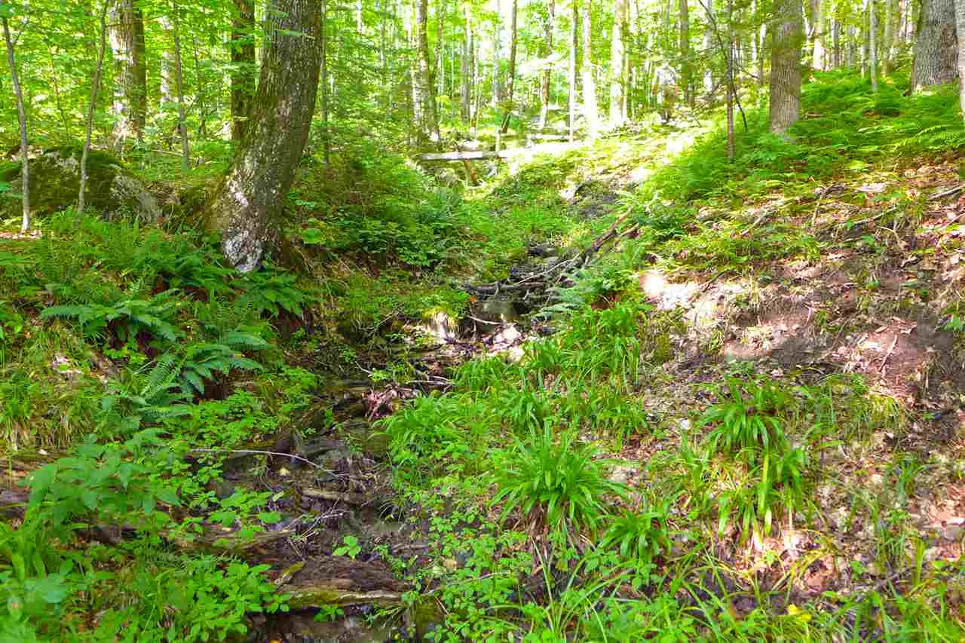 2502 Notch Road Orange VT 05086