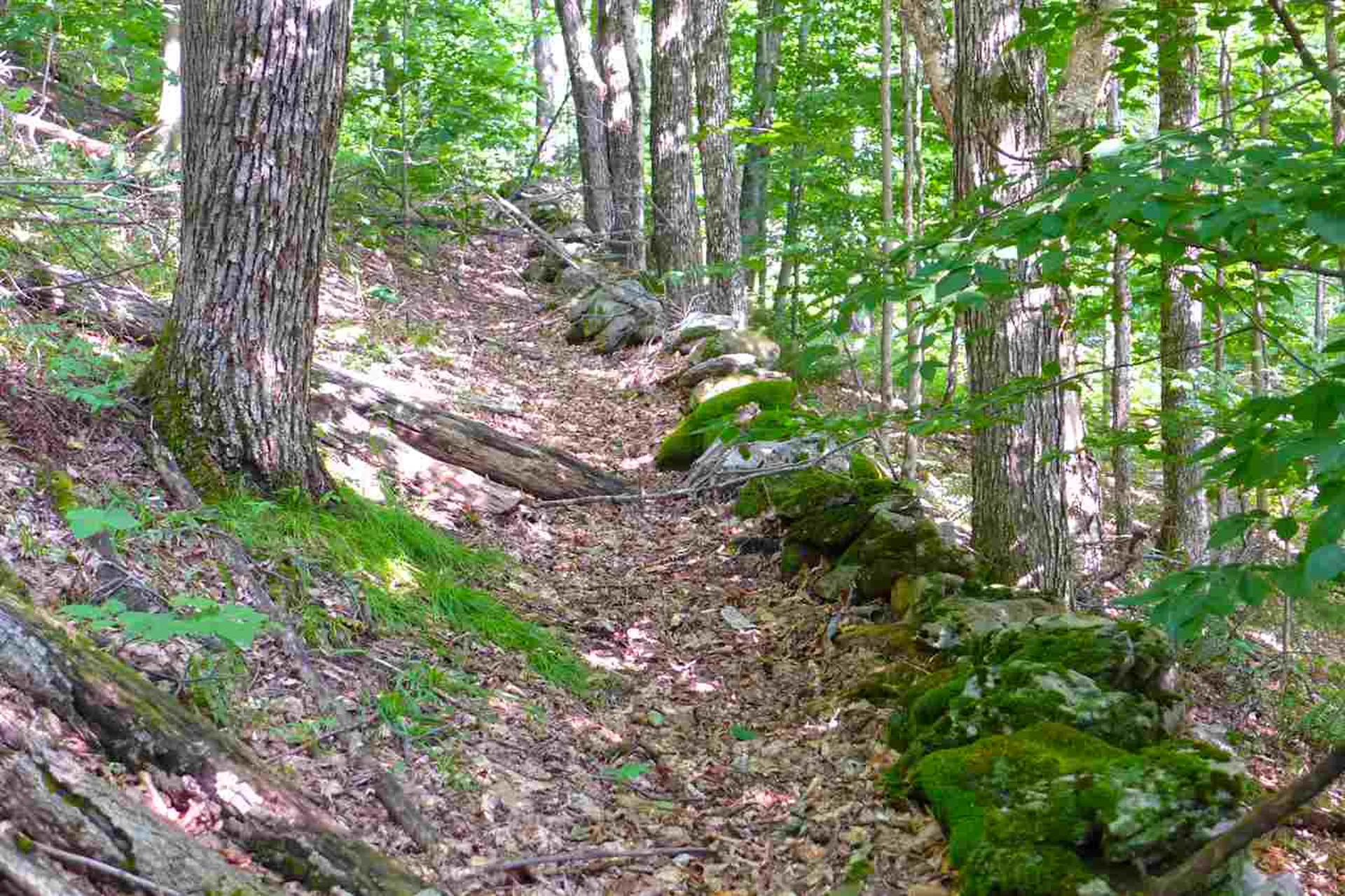 2502 Notch Road Orange VT 05086