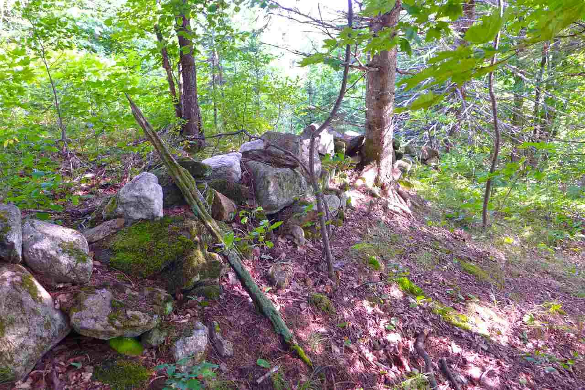 2502 Notch Road Orange VT 05086