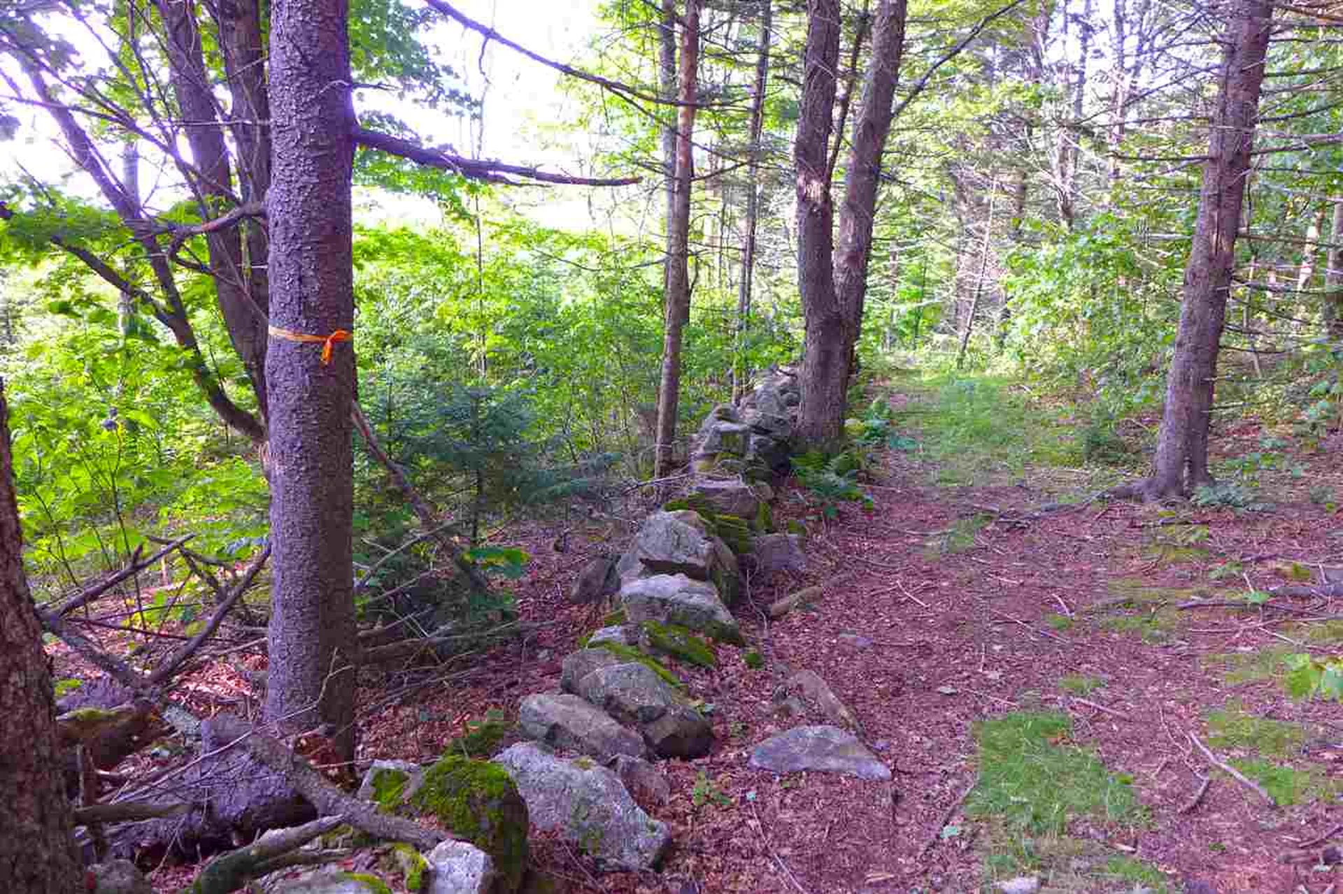 2502 Notch Road Orange VT 05086