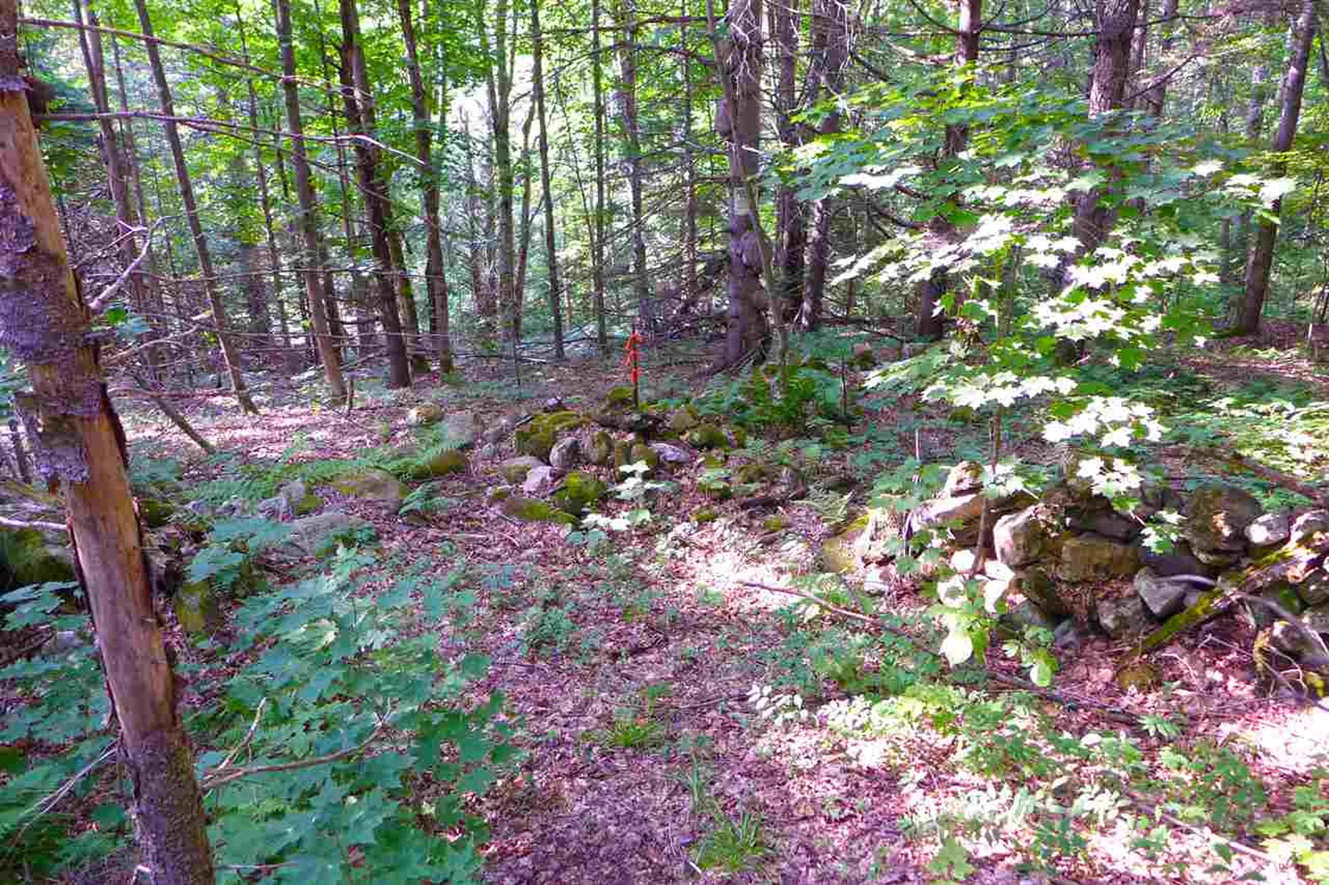 2502 Notch Road Orange VT 05086