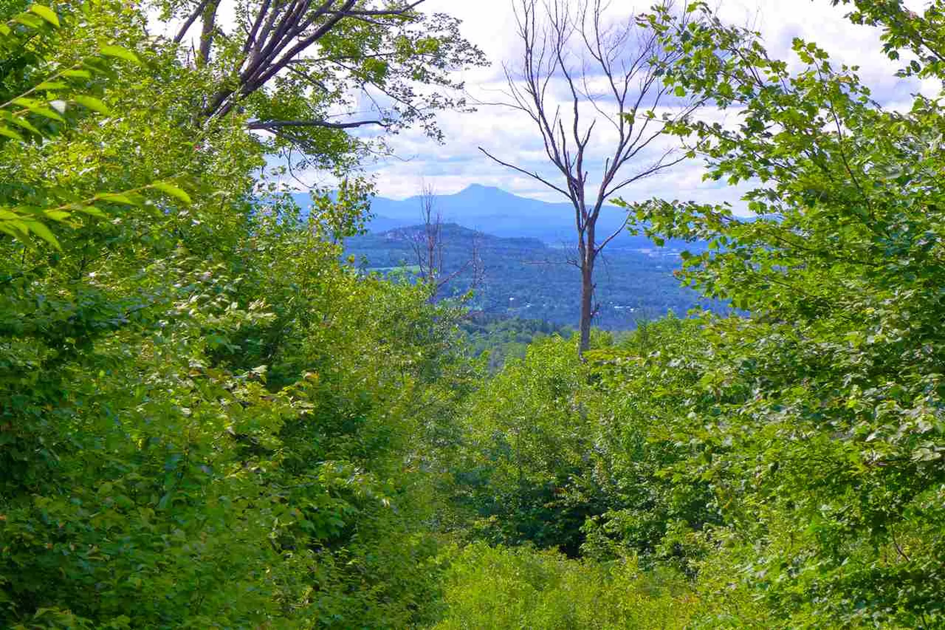 2502 Notch Road Orange VT 05086