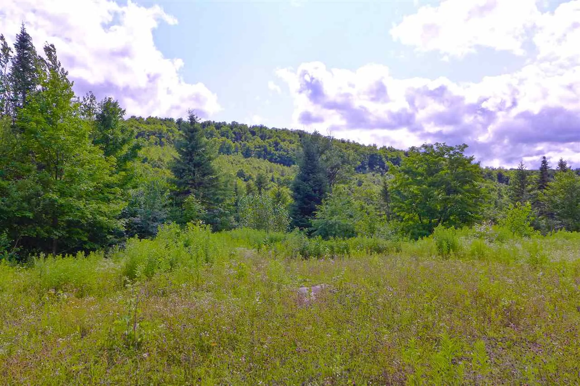 2502 Notch Road Orange VT 05086