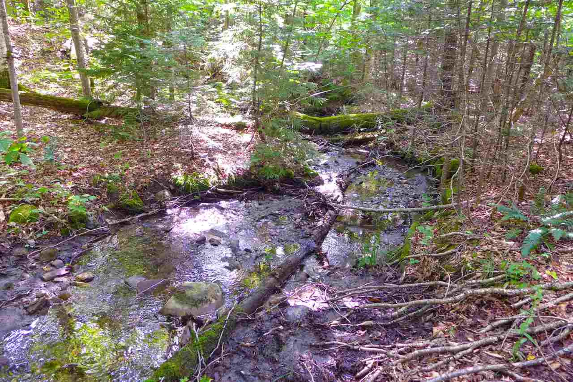 2502 Notch Road Orange VT 05086