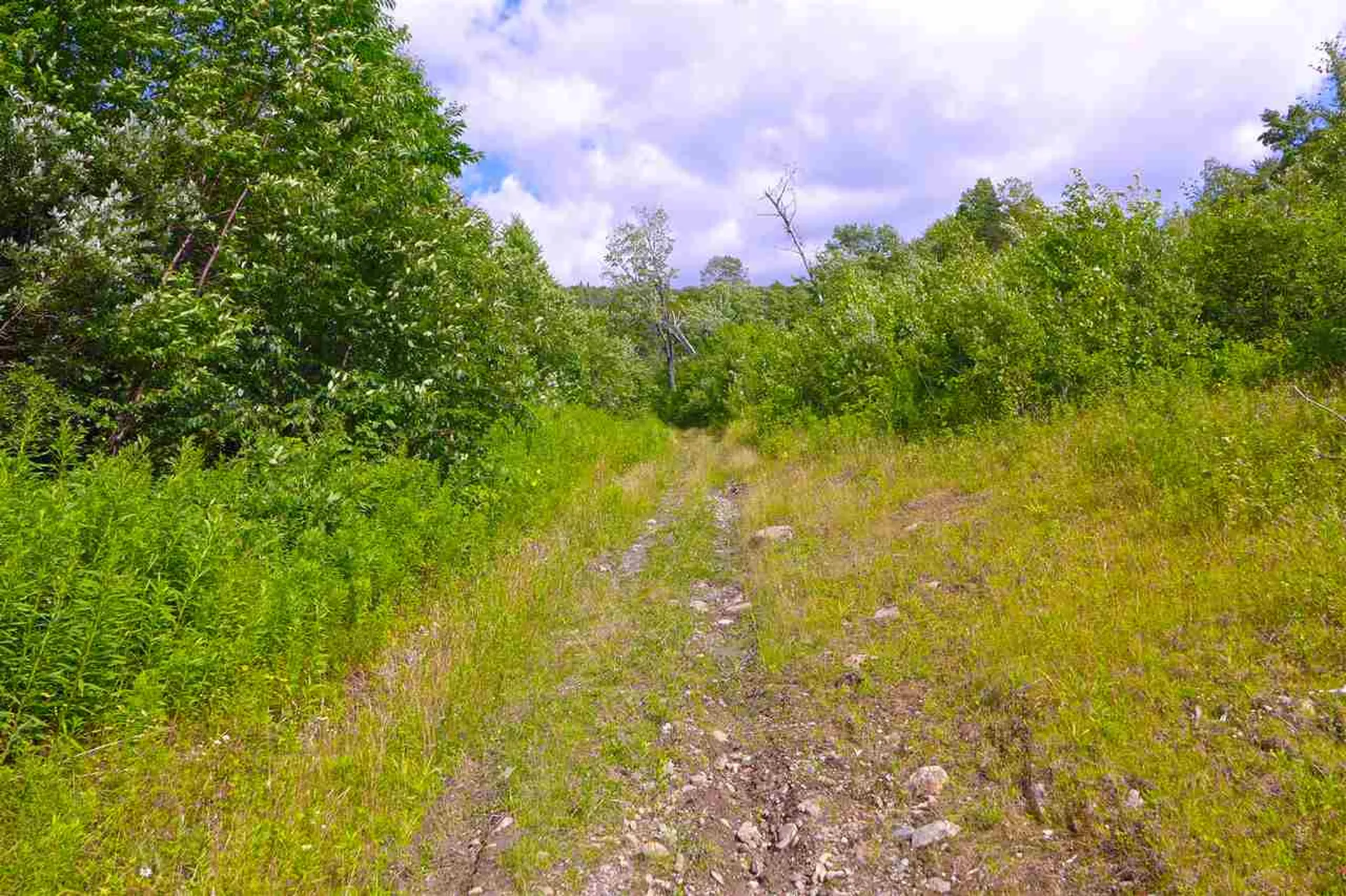 2502 Notch Road Orange VT 05086