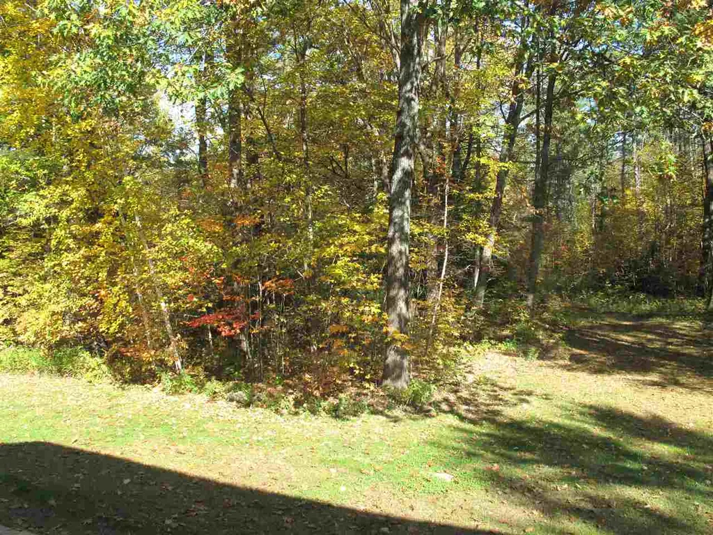 78 Saco Pines Drive Conway NH 03813