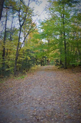 640 Mountain Road Francestown NH 03043
