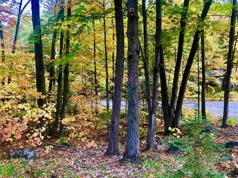 9 Jay Drive Gilford NH 03249