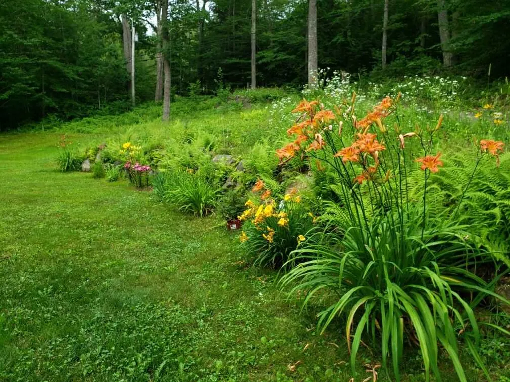 232 Pinnacle Hill Road New Hampton NH 03256