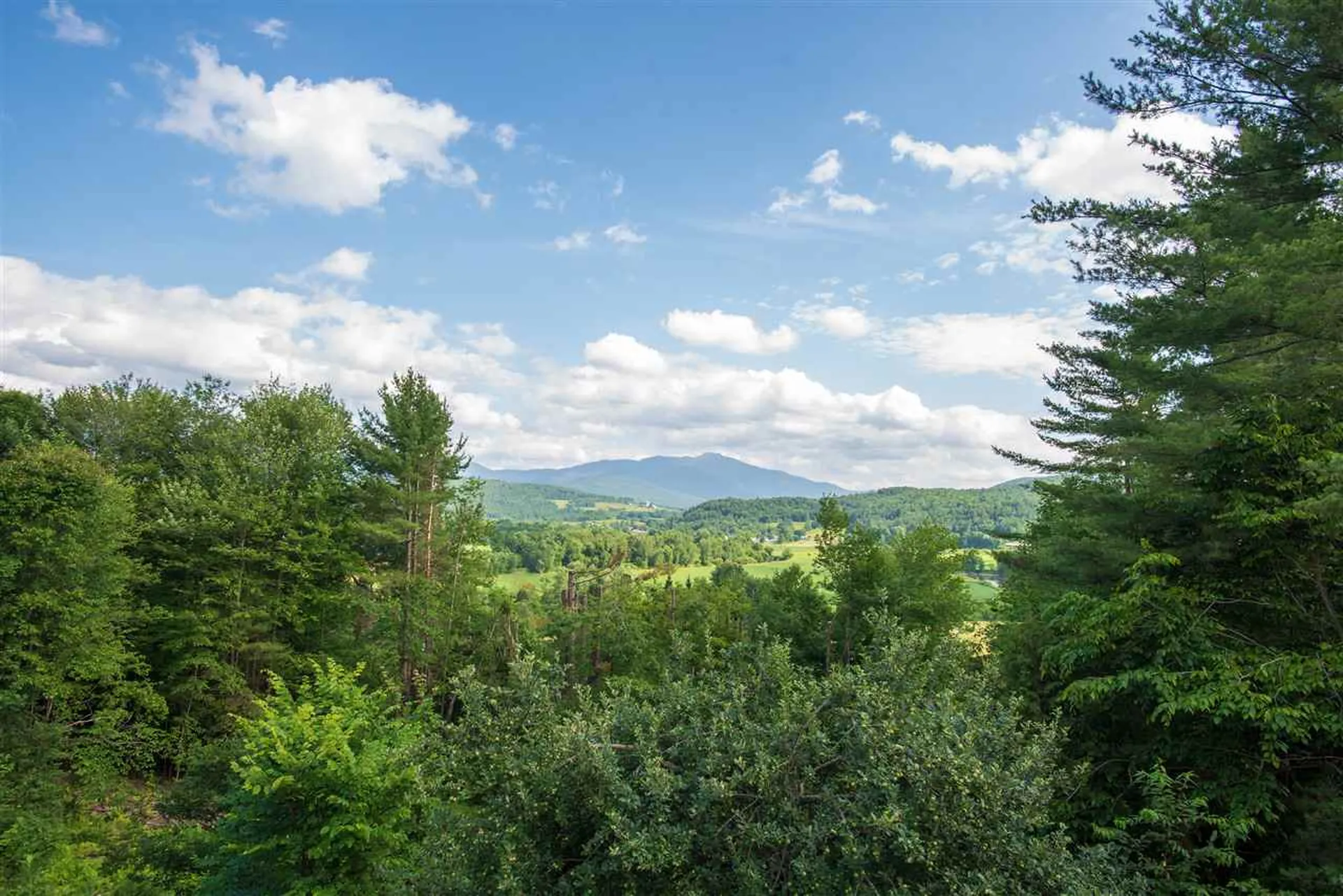 75 Madonna View Cambridge VT 05444
