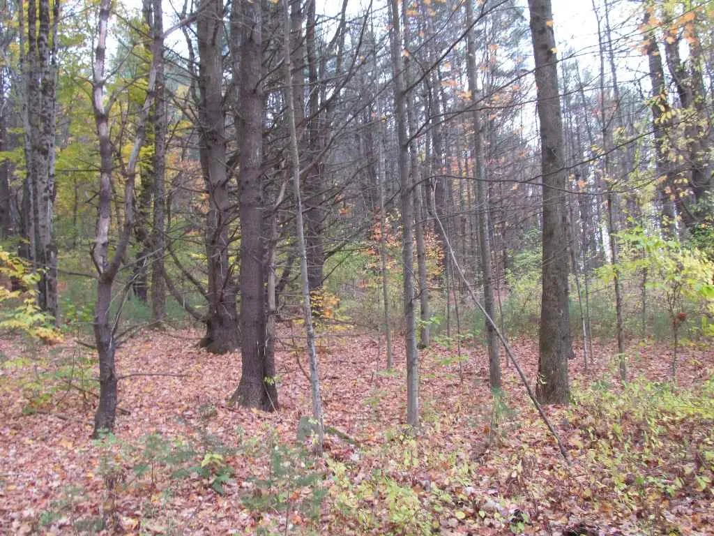 3 Kinney Place Claremont NH 03743
