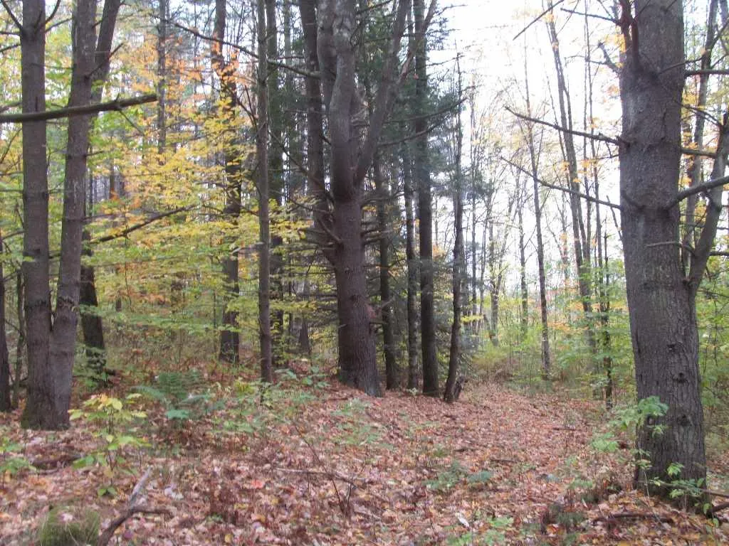 3 Kinney Place Claremont NH 03743