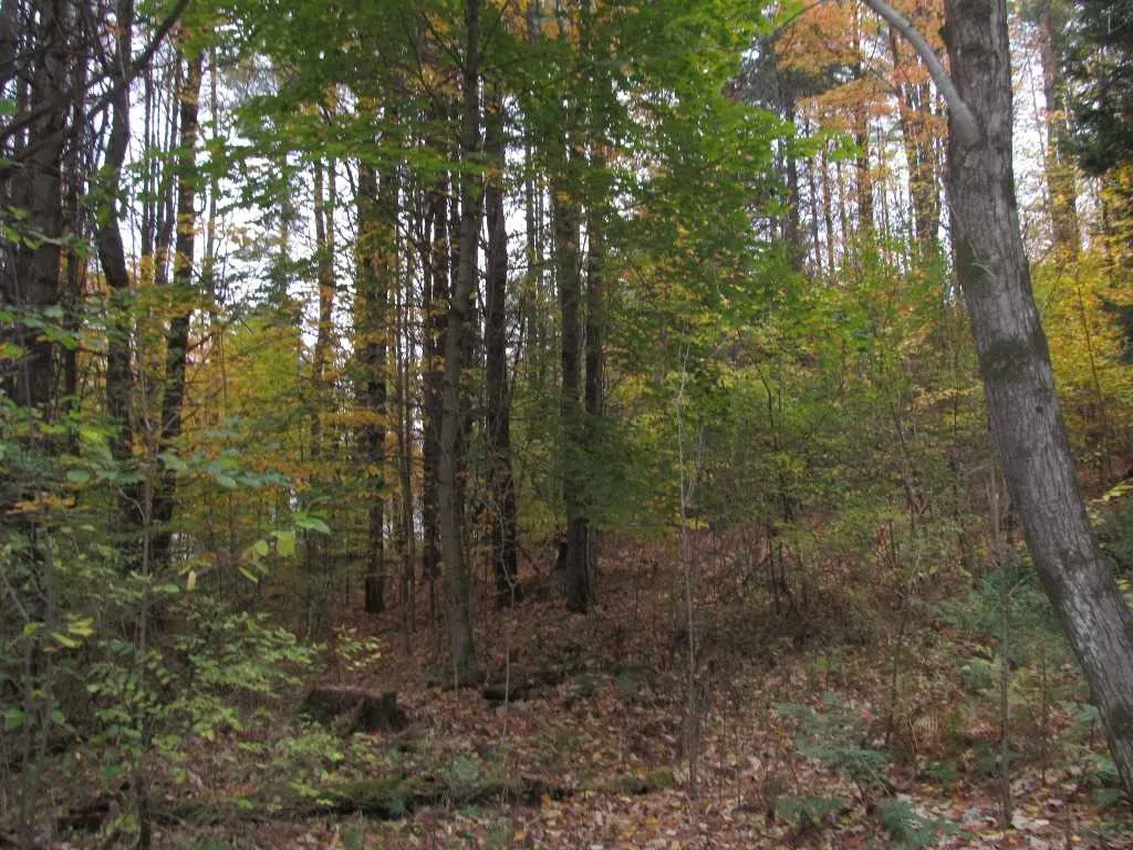 3 Kinney Place Claremont NH 03743
