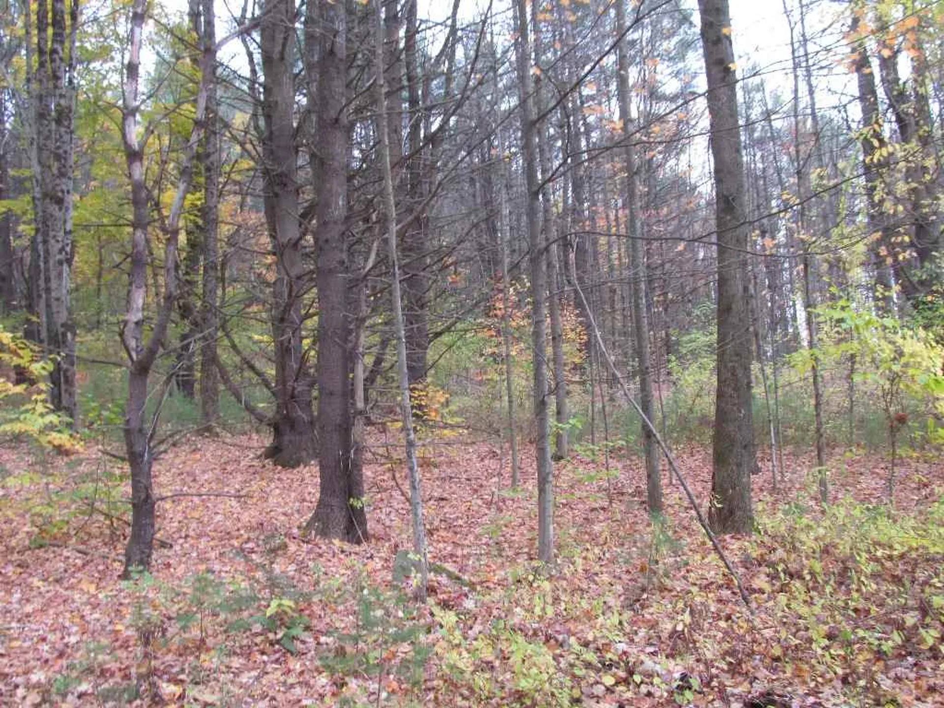 3 Kinney Place Claremont NH 03743