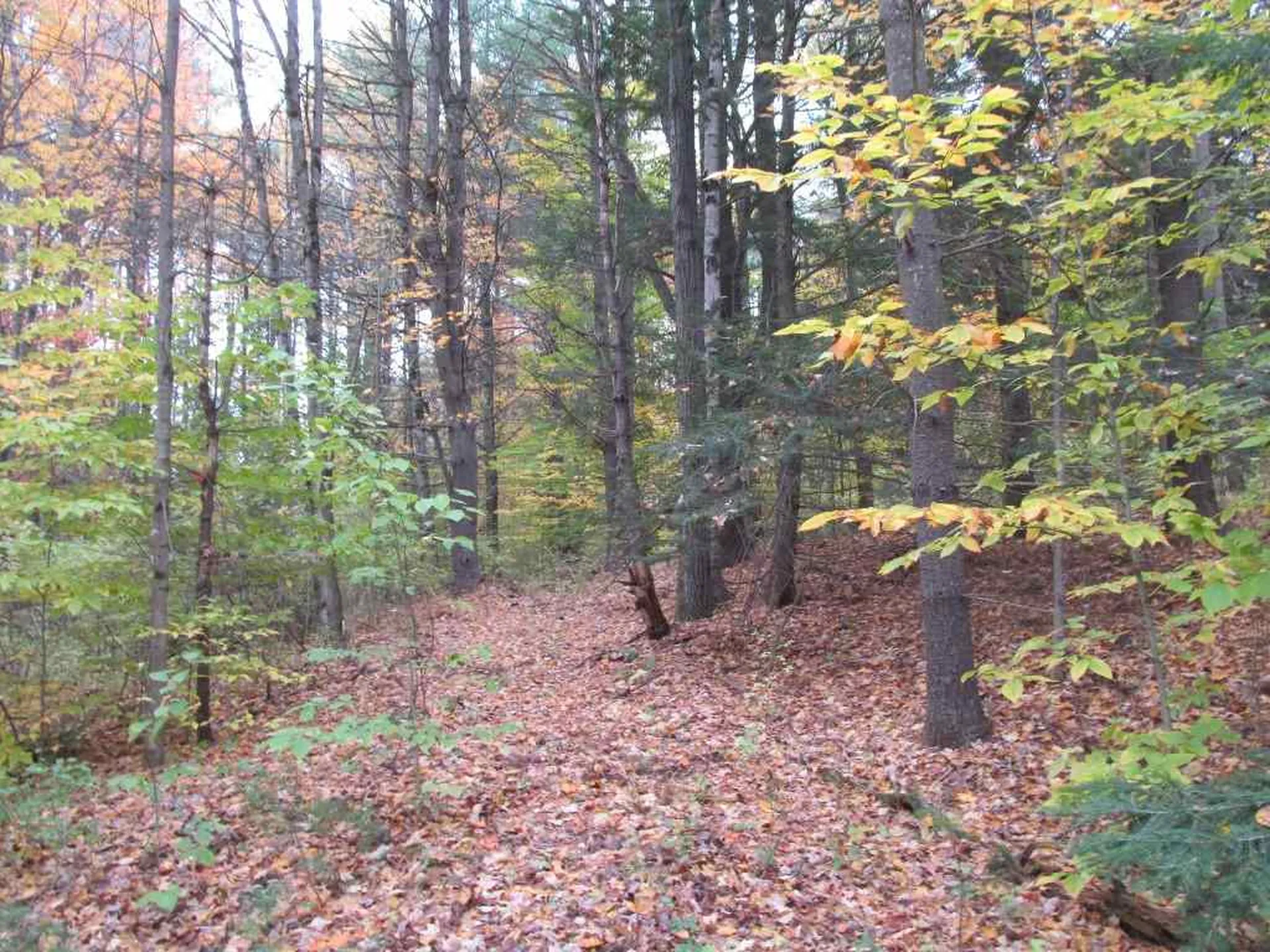 3 Kinney Place Claremont NH 03743
