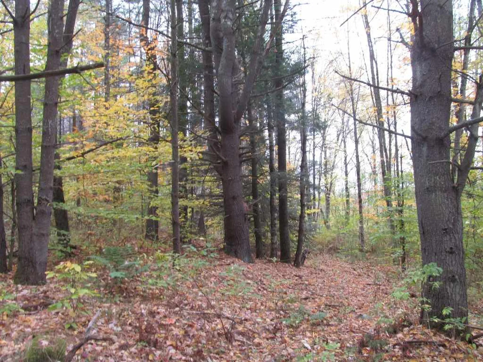 3 Kinney Place Claremont NH 03743
