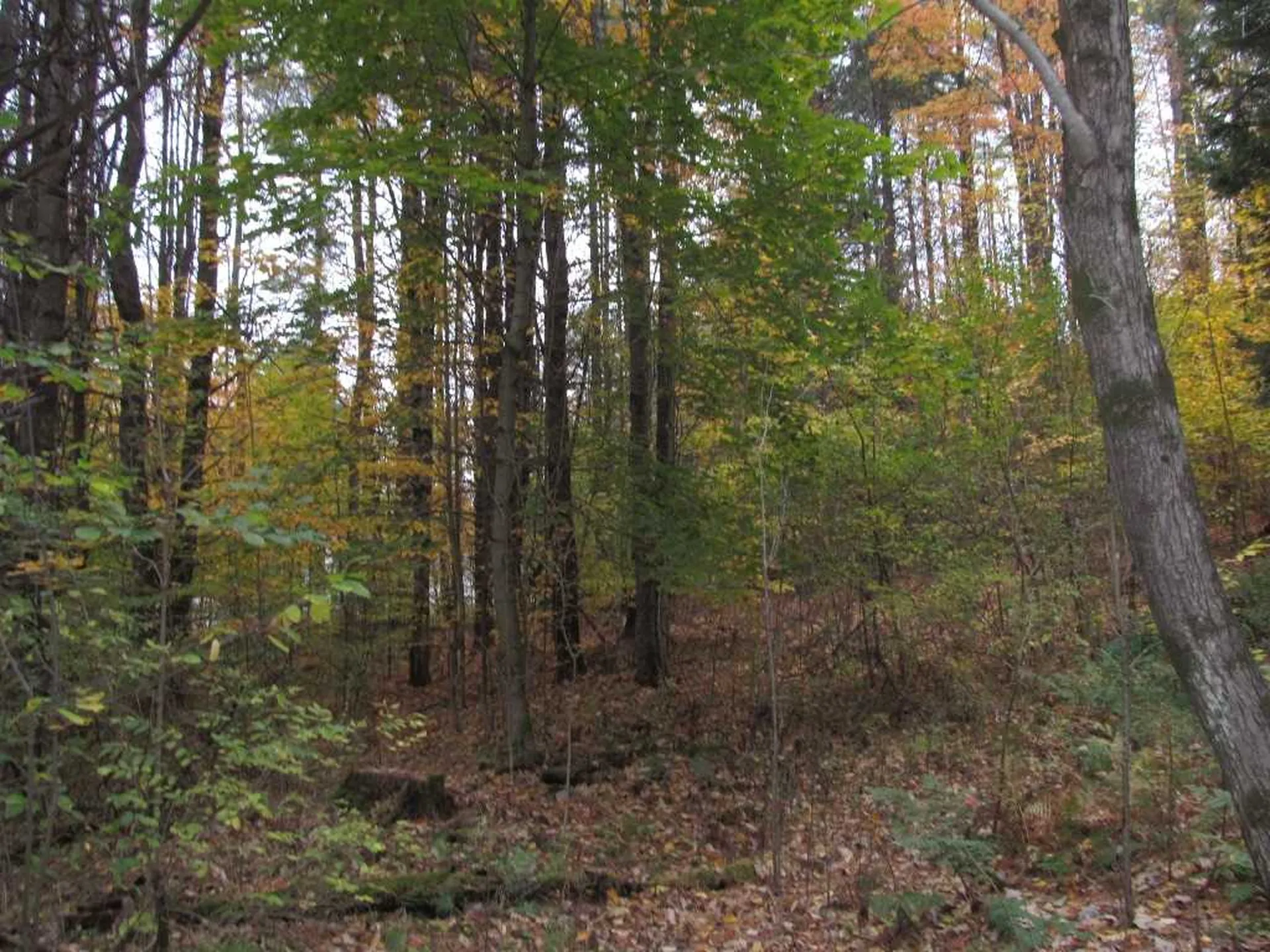 3 Kinney Place Claremont NH 03743