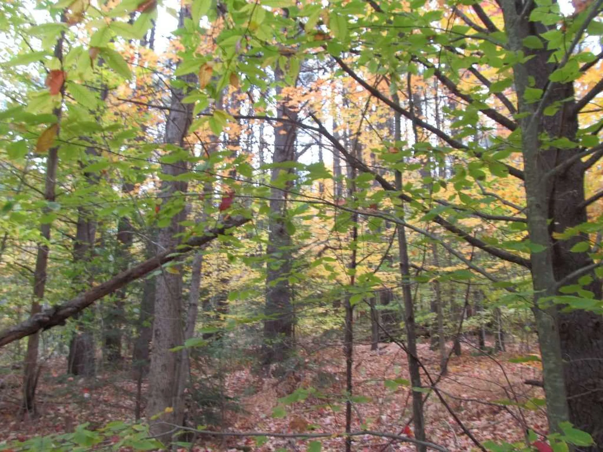 3 Kinney Place Claremont NH 03743