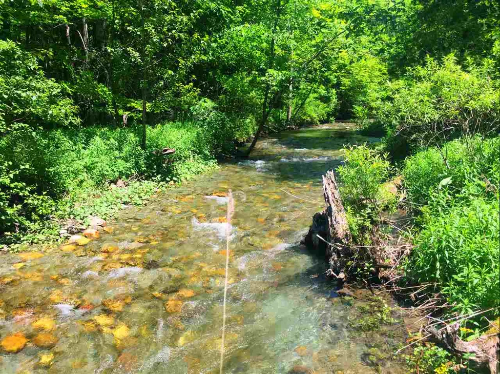 325 Lower Hollow Road Dorset VT 05251