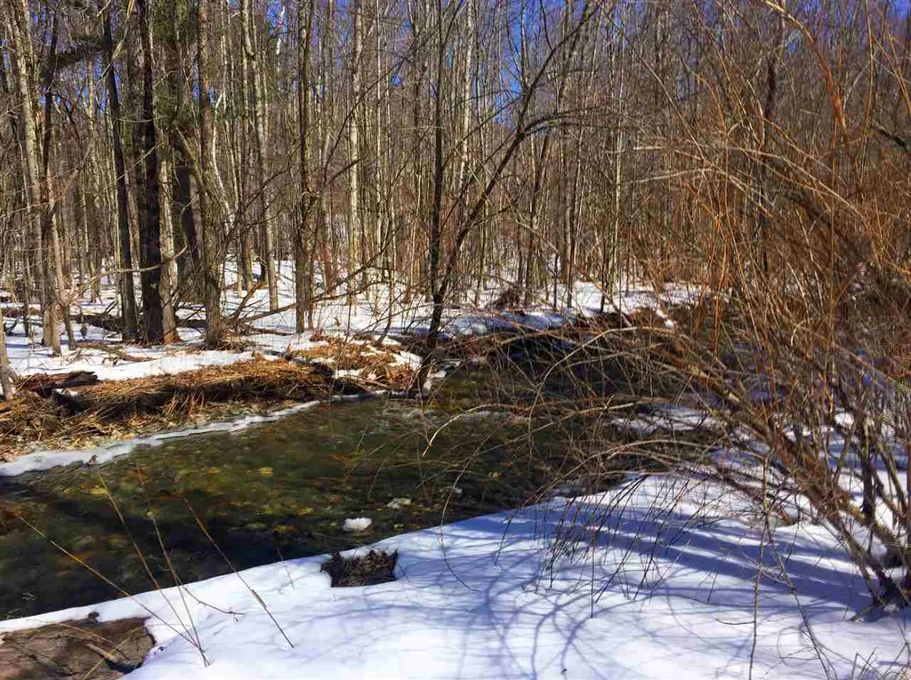 325 Lower Hollow Road Dorset VT 05251