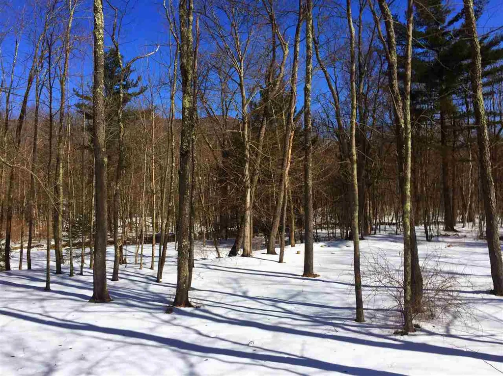 325 Lower Hollow Road Dorset VT 05251