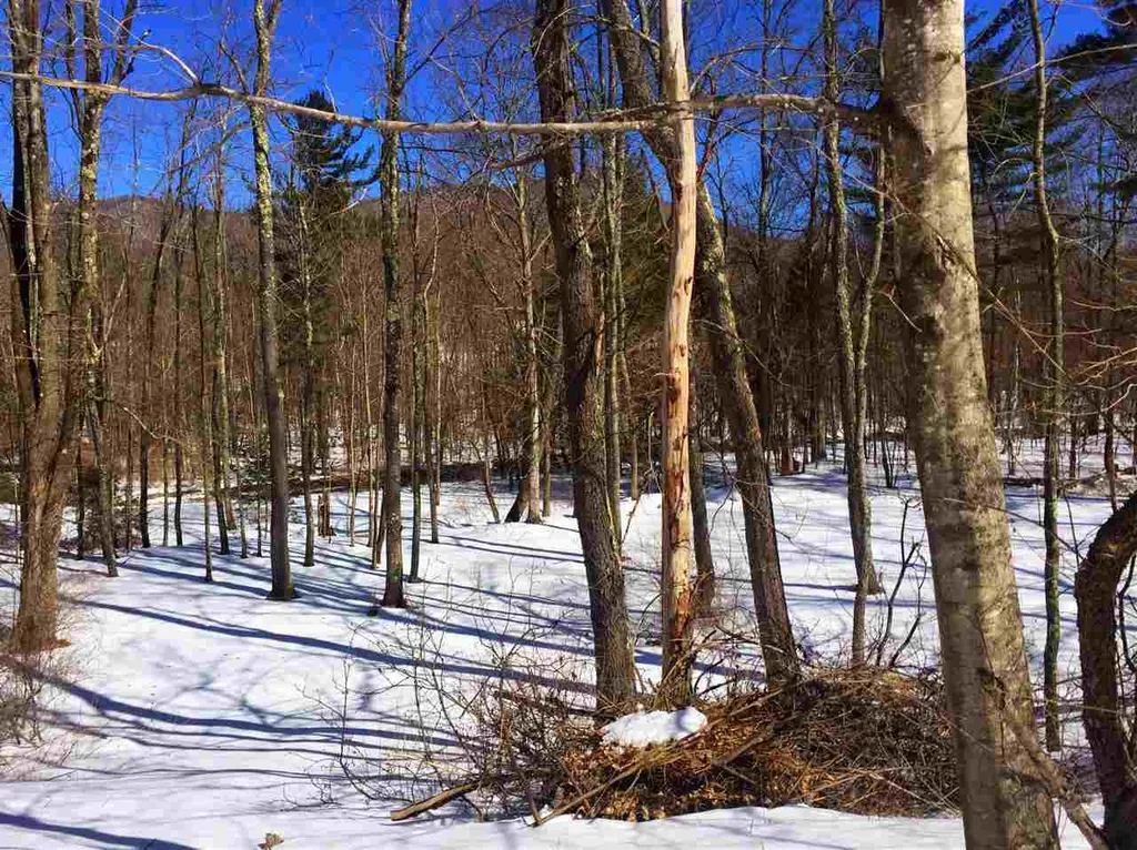 325 Lower Hollow Road Dorset VT 05251