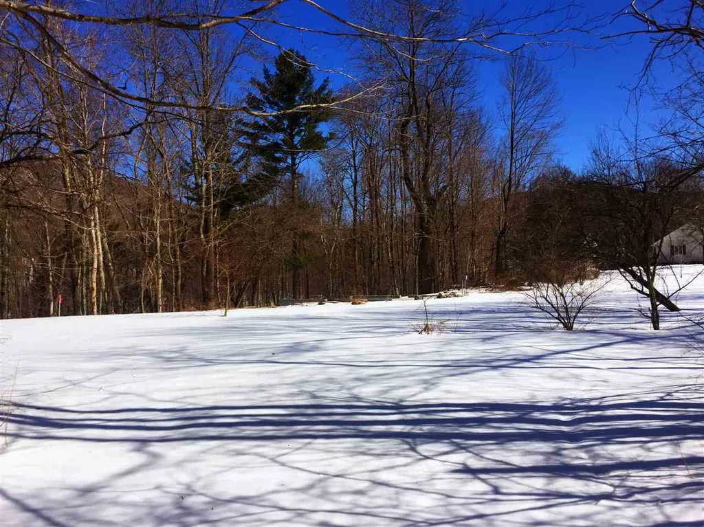 325 Lower Hollow Road Dorset VT 05251